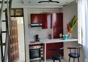 Appartement confortable à Lamentin 30 m² avec vue montagne